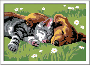 CreArt Sleeping Cats and Dogs
