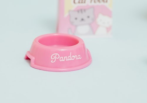 Lottie / Pandora the Persian cat
