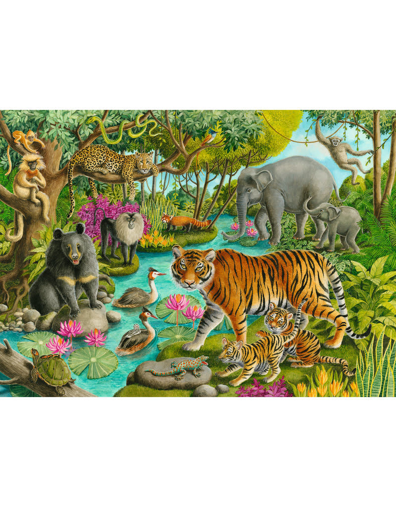 Animals of India (60 pc Puzzles)