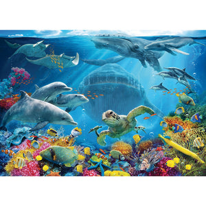 300PCS Large Format Life Underwater