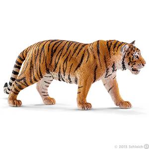 The Siberian tiger is the largest big cat in the world and can grow up to three metres long from its nose to the tip of its tail.