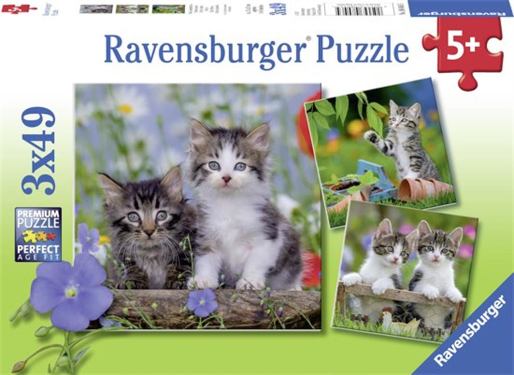 Ravensburger 3X49Pcs Kittens