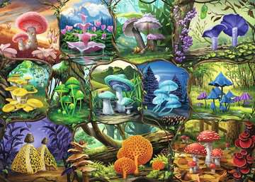 Beautiful Mushrooms (1000 pc Puzzle)